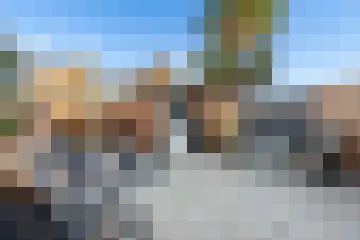 Pronkmos 21 Houten thumbnail 41