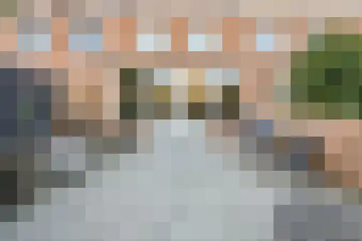 Pronkmos 21 Houten thumbnail 42