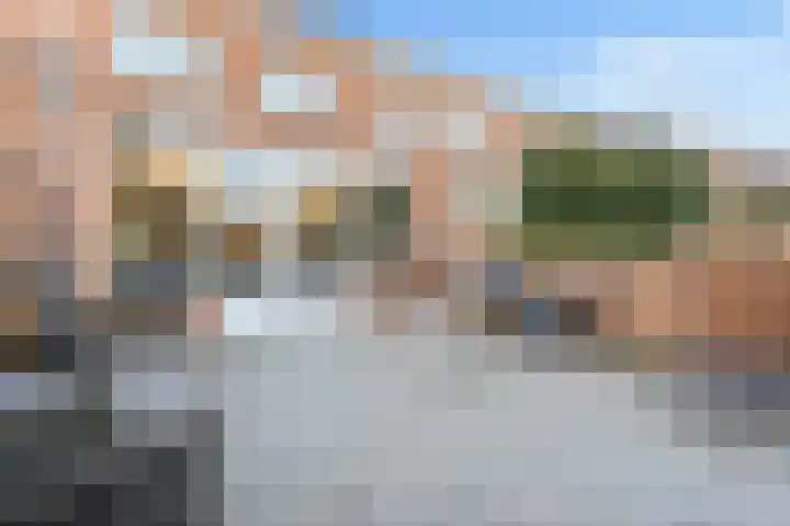 Pronkmos 21 Houten thumbnail 45