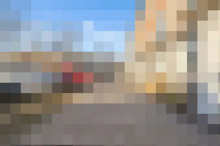 Pronkmos 21 Houten thumbnail 46