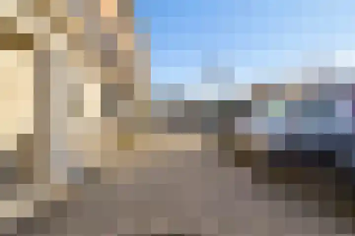 Pronkmos 21 Houten thumbnail 47