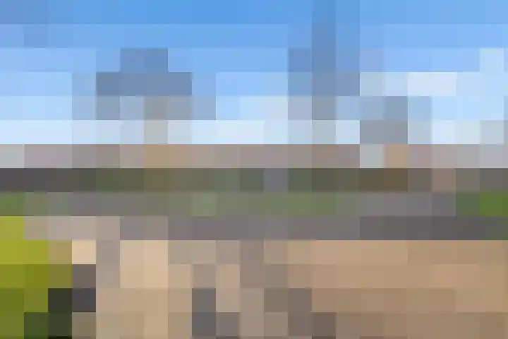 Pronkmos 21 Houten thumbnail 48