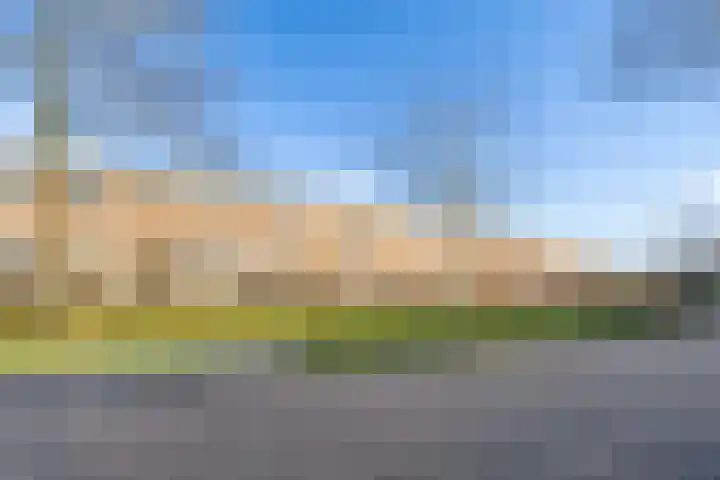 Pronkmos 21 Houten thumbnail 49