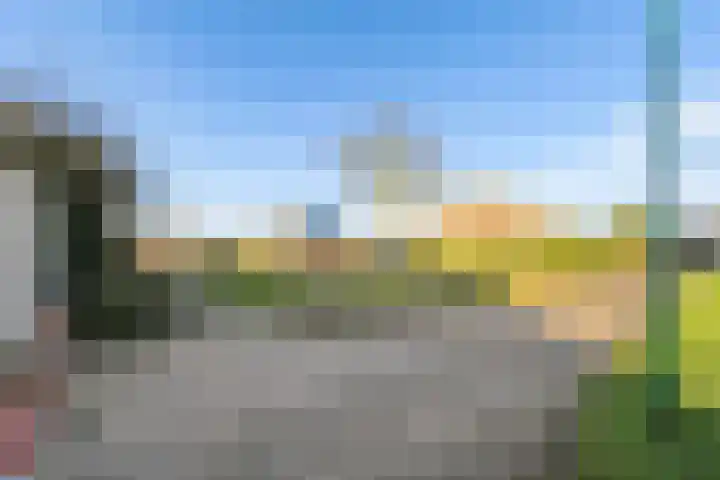 Pronkmos 21 Houten thumbnail 50