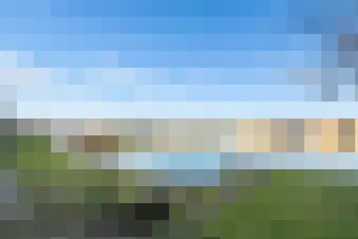 Pronkmos 21 Houten thumbnail 51