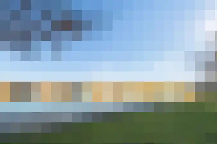 Pronkmos 21 Houten thumbnail 52