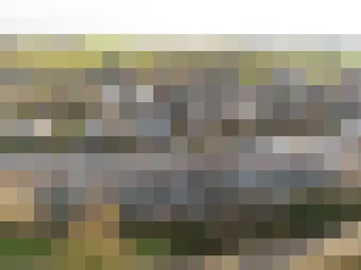 Pronkmos 21 Houten thumbnail 54