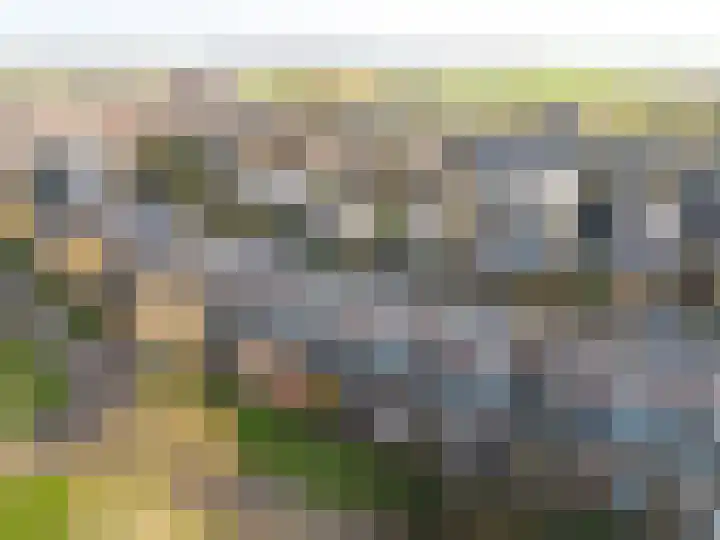 Pronkmos 21 Houten thumbnail 55