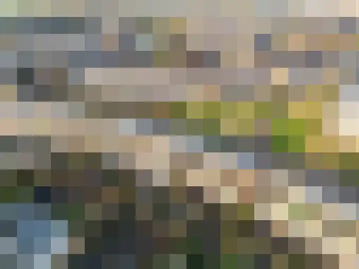 Pronkmos 21 Houten thumbnail 56