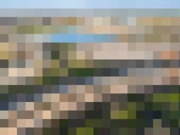 Pronkmos 21 Houten thumbnail 57