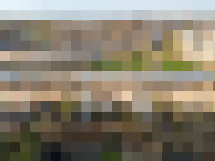 Pronkmos 21 Houten thumbnail 59