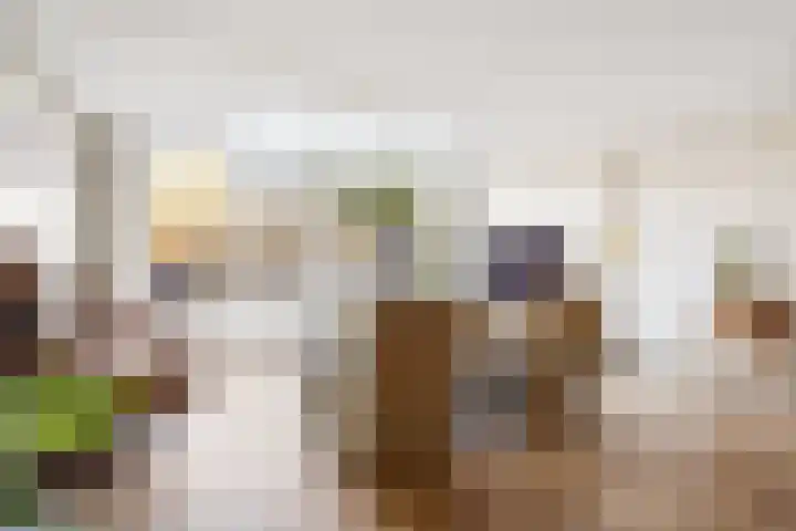 Pronkmos 21 Houten thumbnail 7
