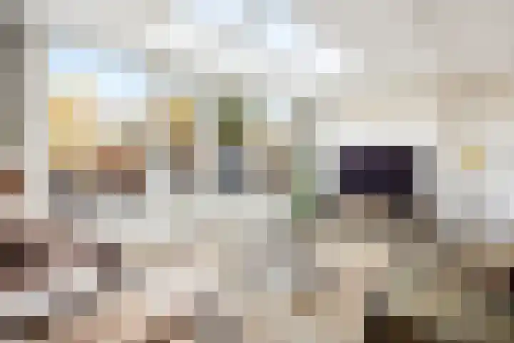 Pronkmos 21 Houten thumbnail 8