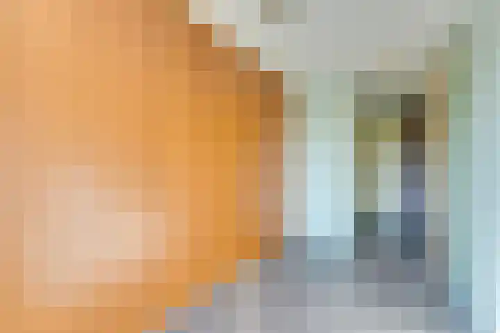 Pronkmos 23 Houten thumbnail 16