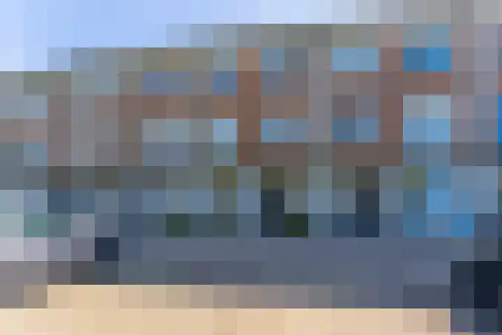 Pronkmos 23 Houten thumbnail 24