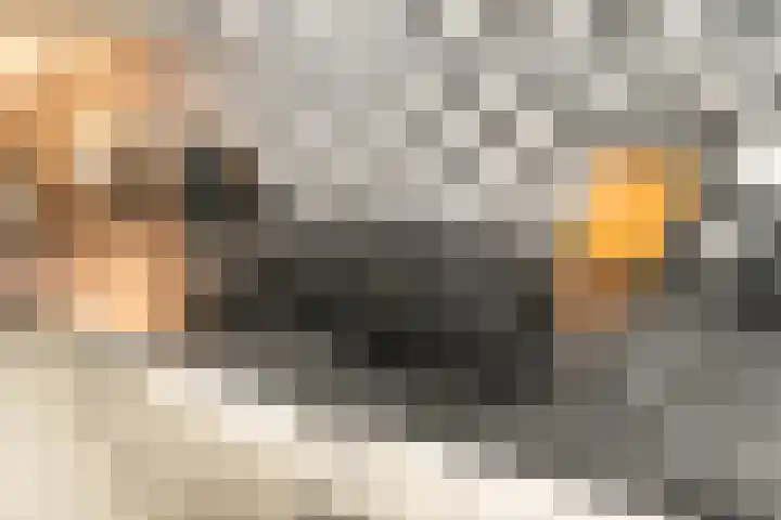 Pronkmos 5 Houten thumbnail 12