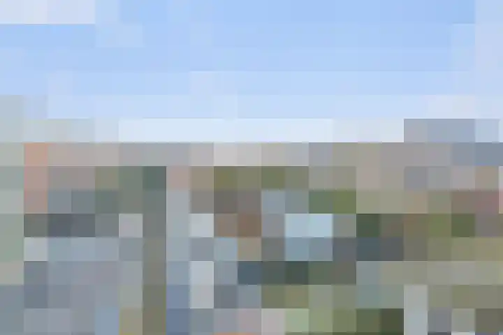Pronkmos 5 Houten thumbnail 28
