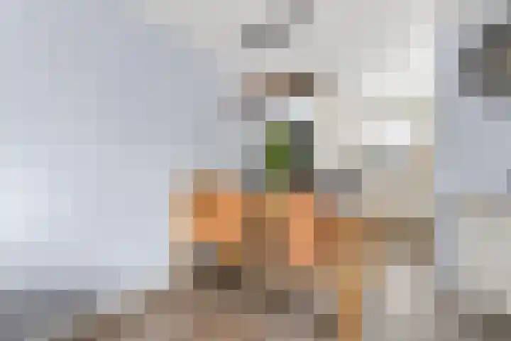 Pronkmos 5 Houten thumbnail 9