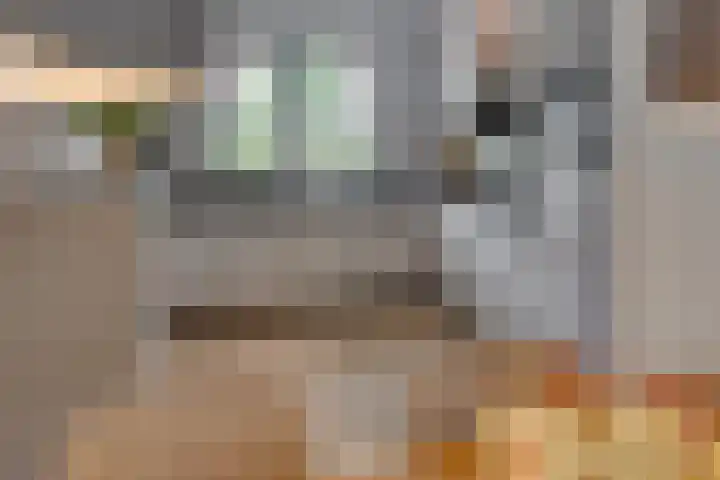 Pronkmos 65 Houten thumbnail 10