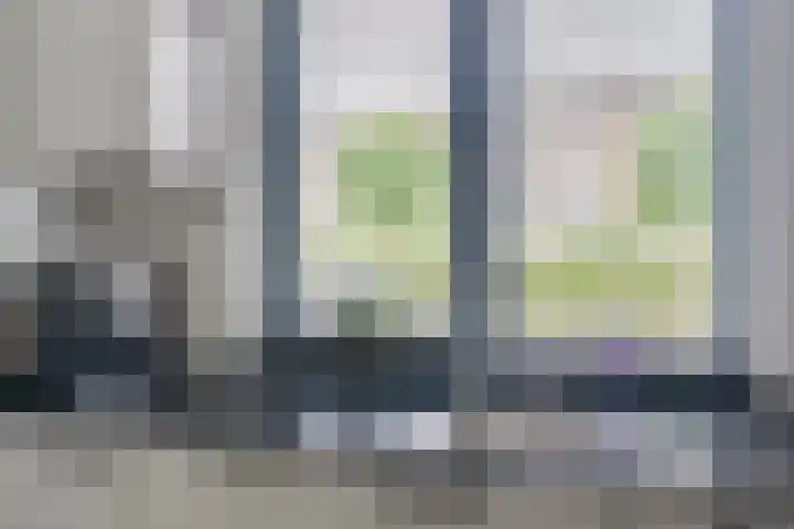 Pronkmos 65 Houten thumbnail 13