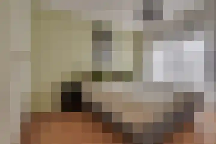Pronkmos 65 Houten thumbnail 15