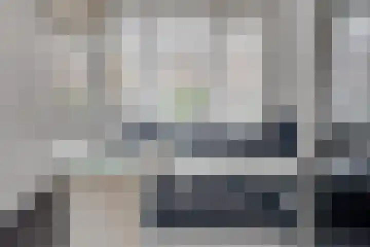 Pronkmos 65 Houten thumbnail 19