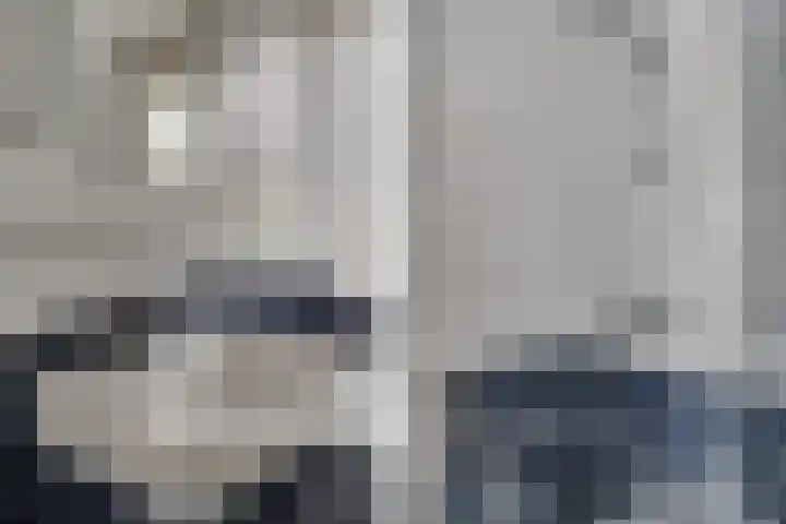 Pronkmos 65 Houten thumbnail 20