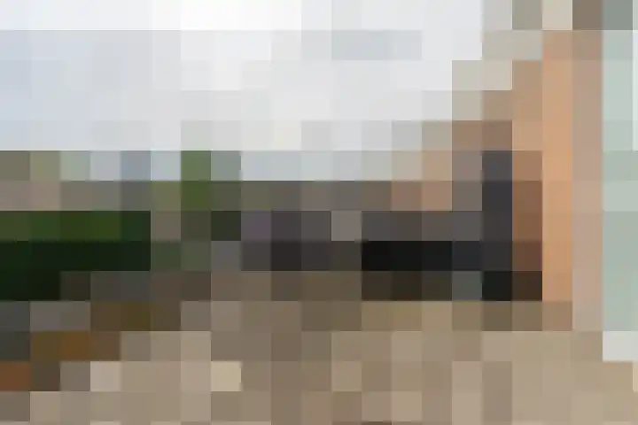 Pronkmos 65 Houten thumbnail 25