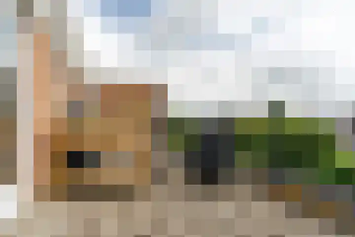 Pronkmos 65 Houten thumbnail 26