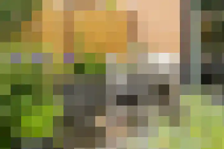Pronkmos 65 Houten thumbnail 30