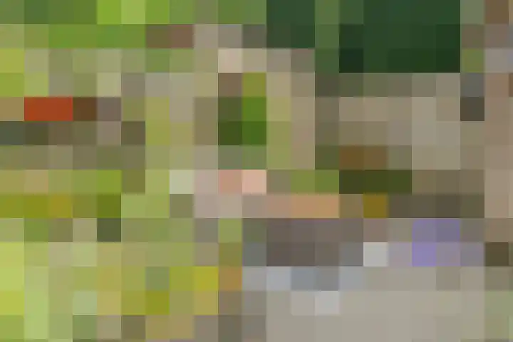 Pronkmos 65 Houten thumbnail 31