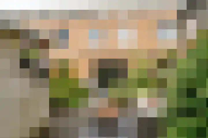 Pronkmos 65 Houten thumbnail 32
