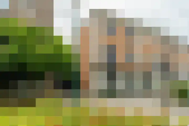Pronkmos 65 Houten thumbnail 33