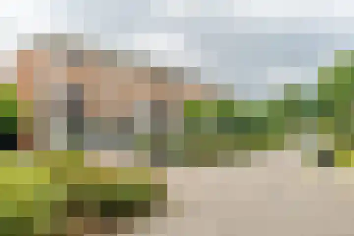 Pronkmos 65 Houten thumbnail 34