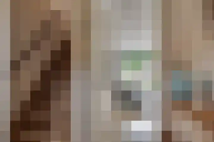 Pronkmos 65 Houten thumbnail 4
