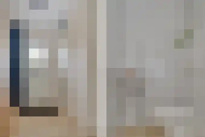 Pronkmos 65 Houten thumbnail 5