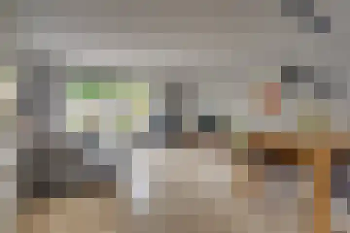 Pronkmos 65 Houten thumbnail 6