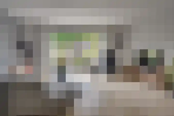Pronkmos 65 Houten thumbnail 7