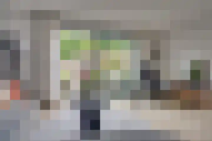 Pronkmos 65 Houten thumbnail 8