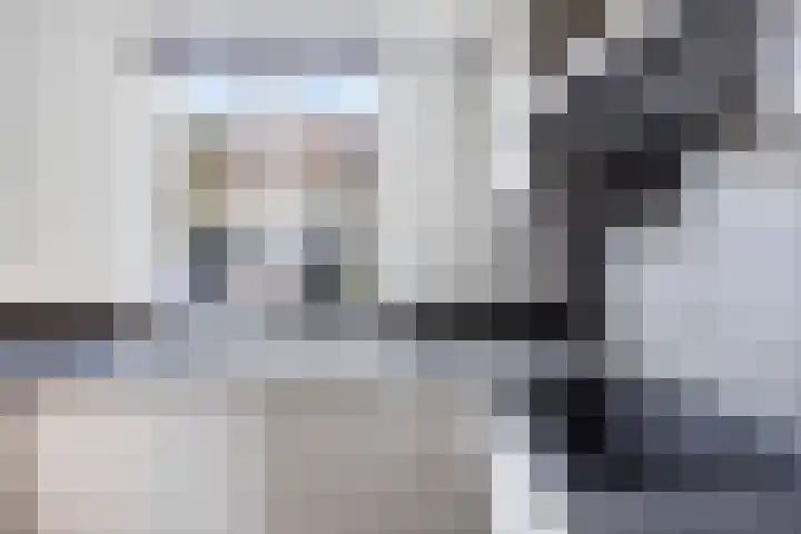 Pronkmos 79 Houten thumbnail 10