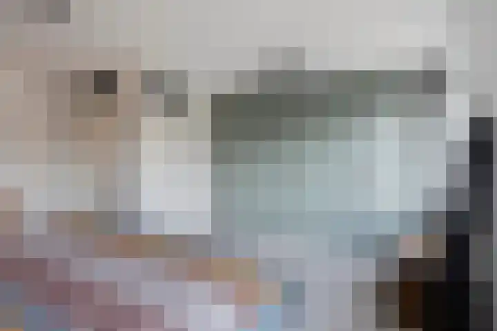 Pronkmos 79 Houten thumbnail 14