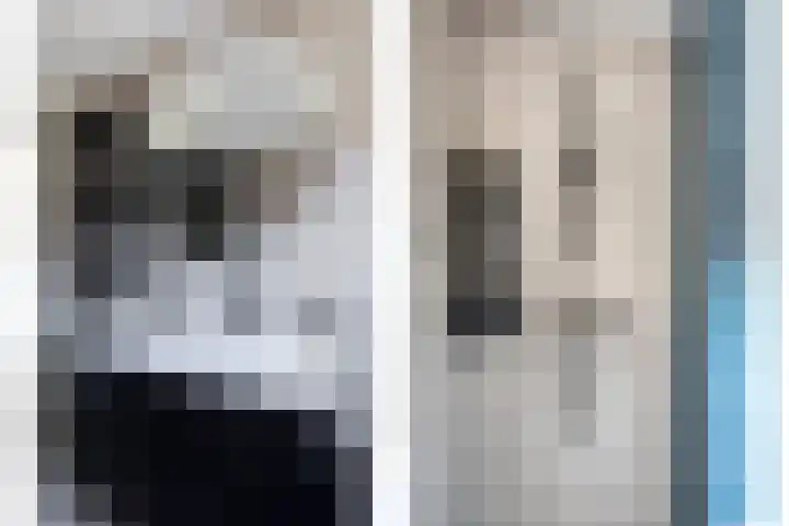 Pronkmos 79 Houten thumbnail 16