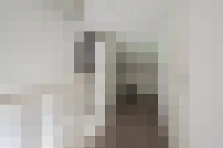 Pronkmos 79 Houten thumbnail 19