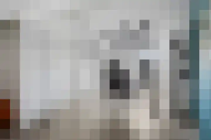 Pronkmos 79 Houten thumbnail 21