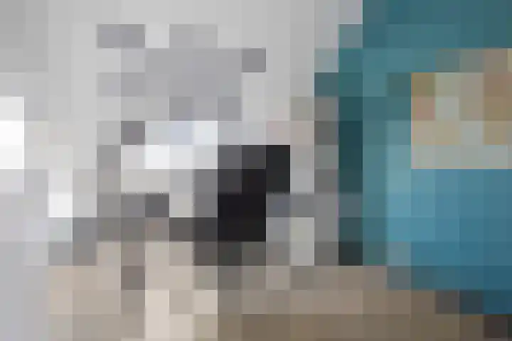 Pronkmos 79 Houten thumbnail 22