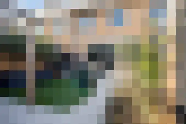 Pronkmos 79 Houten thumbnail 23