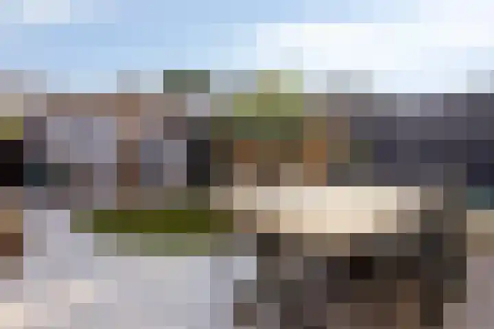 Pronkmos 79 Houten thumbnail 24