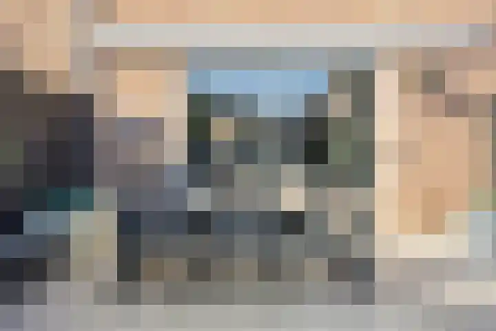 Pronkmos 79 Houten thumbnail 25