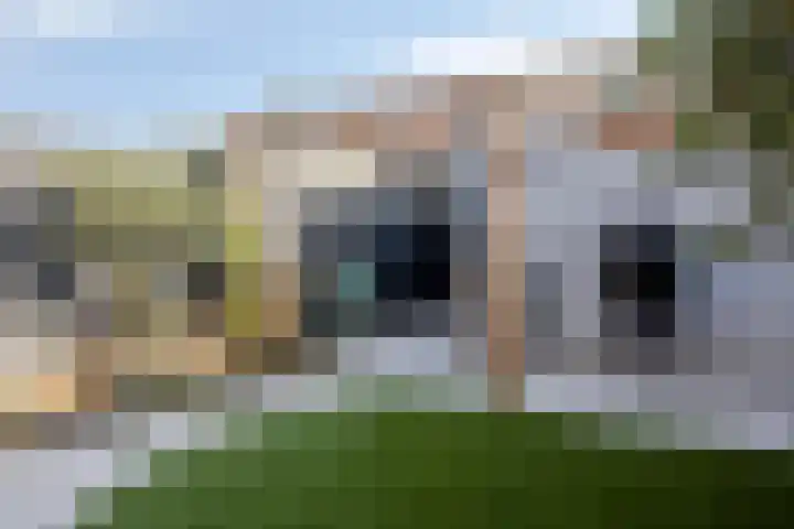 Pronkmos 79 Houten thumbnail 26