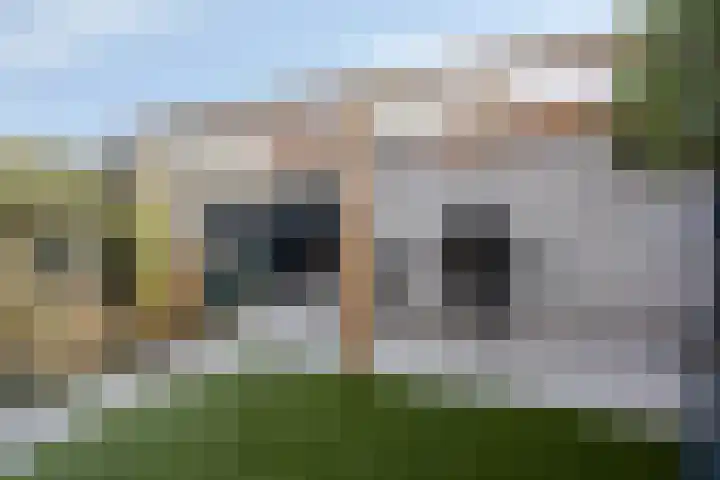 Pronkmos 79 Houten thumbnail 27